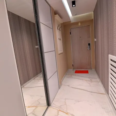 Family Μπιέλινα